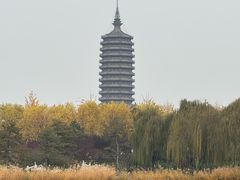 -西海子公园