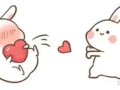 -罗家杏传统特色海南粉(人民西路总店)