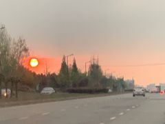 -二荆条·蜀鲜汇城市森林火锅