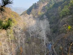 -玉渡山自然风景区