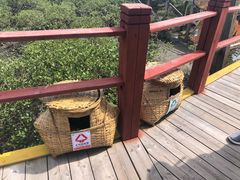 -北海金海湾红树林生态旅游区