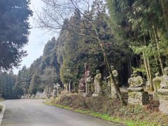 -武陵山森林公园