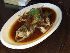 清蒸鲈鱼-半岛公馆(淞兴西路店)