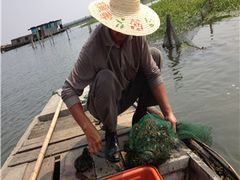 -阳澄湖大闸蟹·琼灵阁牌品牌连锁(吴中总店)