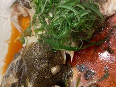 清蒸老虎斑-金苑海鲜酒家(来魅力店)