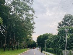 -福田红树林生态公园