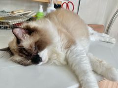 -灯塔咖啡馆BOOK·Coffee Shop