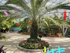 -北京植物园-展览温室