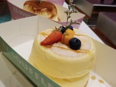 -狐狸和向日葵(北京路店)