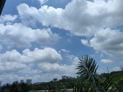 -番禺大夫山森林公园