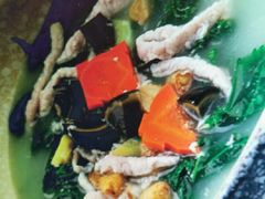 -东鸽皇(奥园·中环广场店)