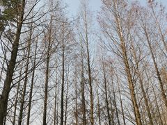 -白鹭湾湿地公园