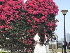 -东莞植物园