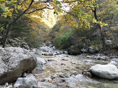 -青峰峡国家森林公园