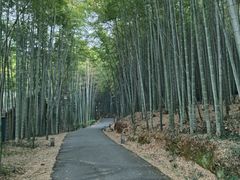 -苏州环秀晓筑养生度假村