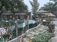 -天怡·鱼工厂(梅溪湖店)