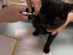 -宠福鑫康馨动物医院·骨科·眼科