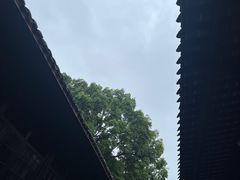 -安仁古镇
