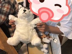 -TrueLove @ Neverland (Husky Cafe)