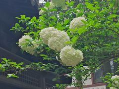 -常熟方塔园