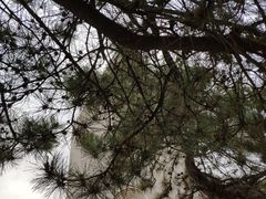 -中国艺术研究院油画院