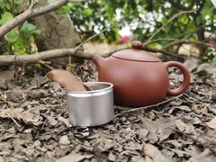 -桤木河湿地公园