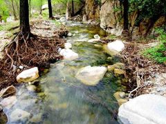 -碓臼峪自然风景区