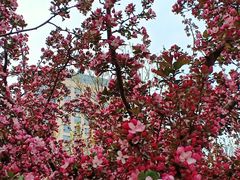 -元大都城垣遗址公园