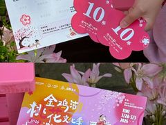 -金鸡湖桃花岛