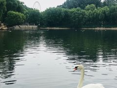 -石家庄市动物园