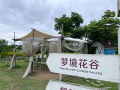 -紫颐香薰山谷景区