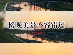 -洨河生态公园