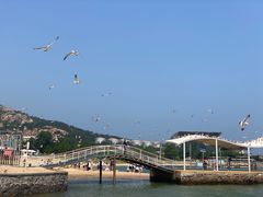 -海驴岛(荣成市)