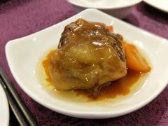 红烧牛尾-燕春楼(海河华鼎店)