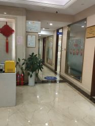 -碧莲盛·不剃发植发