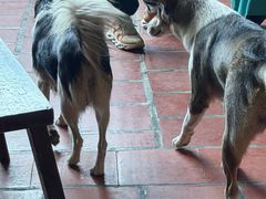 -东南悬空寺方广岩