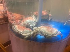 -顺峰(农展馆店)