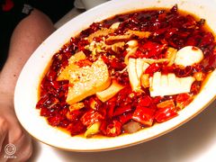 -初蓉丨遇见新川菜(亲贤街荣耀店)