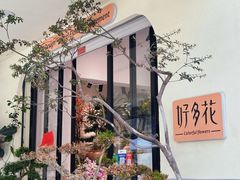 -溪岸路花鸟市场