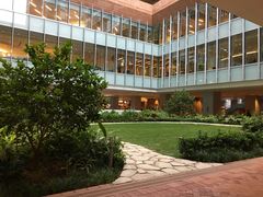 -香港大学