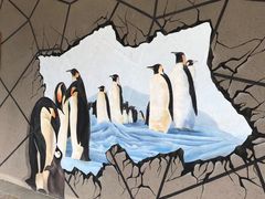 -帝企鹅自助餐厅•儿童岛•真企鹅(长隆企鹅酒店)