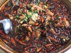 水煮鱼，回锅肉，香辣蟹，青椒肉丝-芽庄老成都川菜馆