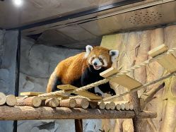 -Zoolung Zoolung动物主题公园(海信广场店)