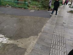 -西湖-风味菜馆