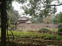 -白马涧龙池景区