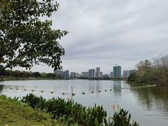 -飞来湖湿地公园