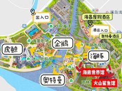 -上海海昌海洋公园