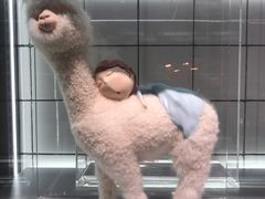 -VBEINGS微缤礼物(IFS国金中心店)