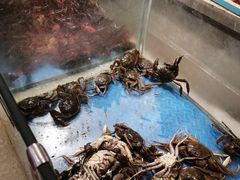 -悦橙烤肉海鲜自助(中央大街店)