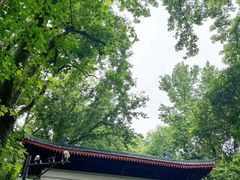 -岳麓山风景名胜区